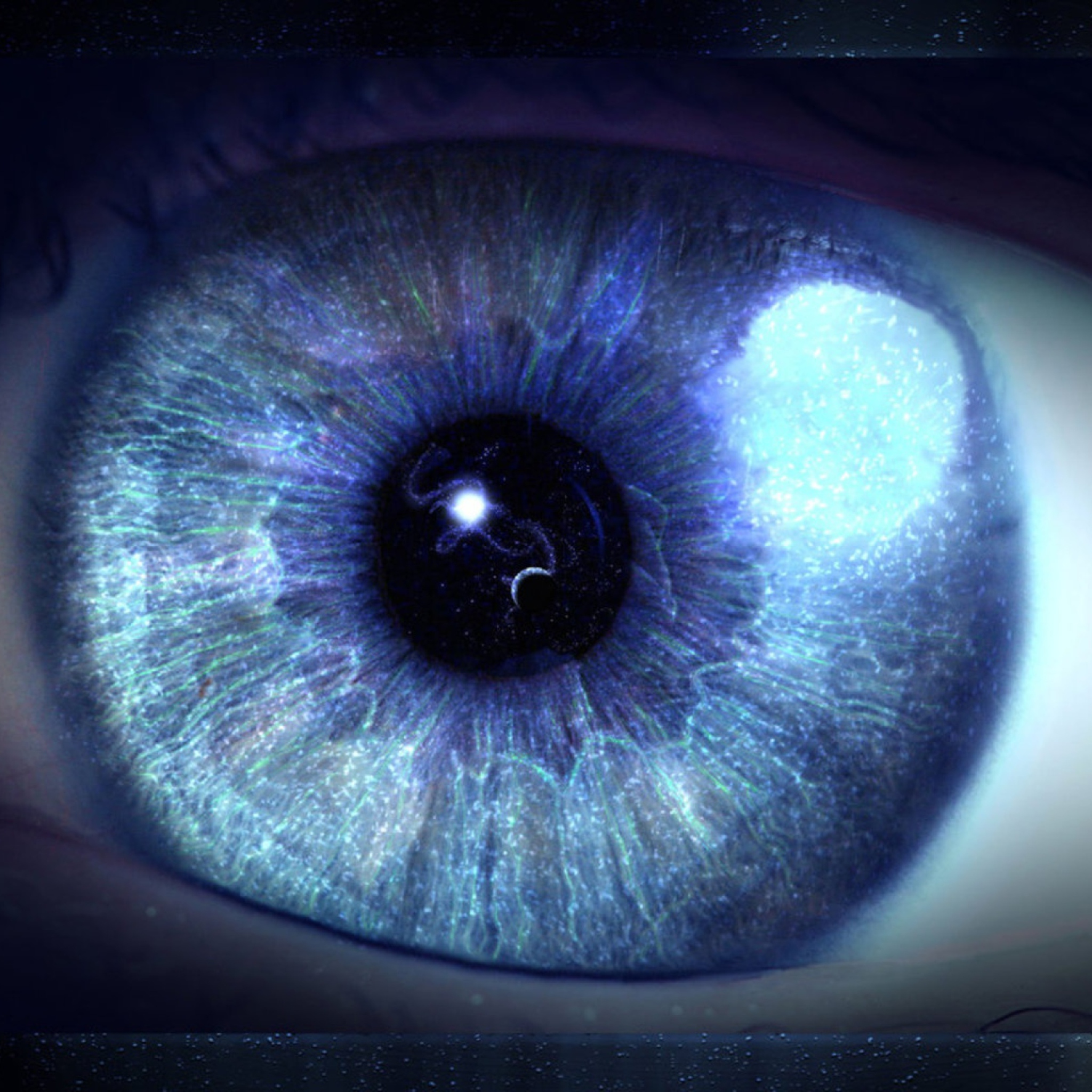 Fondo de pantalla Blue Eye Close Up 2048x2048