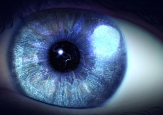 Blue Eye Close Up - Obrázkek zdarma 