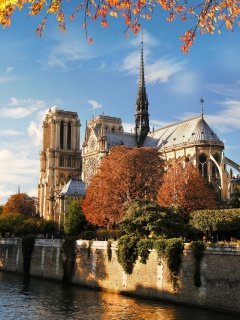 Notre Dame de Paris screenshot #1 240x320