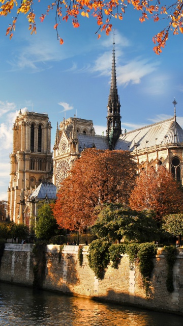 Fondo de pantalla Notre Dame de Paris 360x640