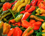 Colorful Peppers wallpaper 176x144