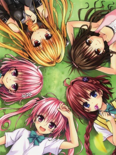 Sfondi Kentaro Yabuki, To Love Ru 240x320