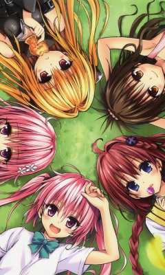 Screenshot №1 pro téma Kentaro Yabuki, To Love Ru 240x400