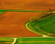 Обои Harvest Field 220x176