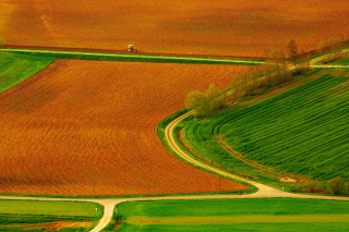 Harvest Field - Obrázkek zdarma pro 176x144