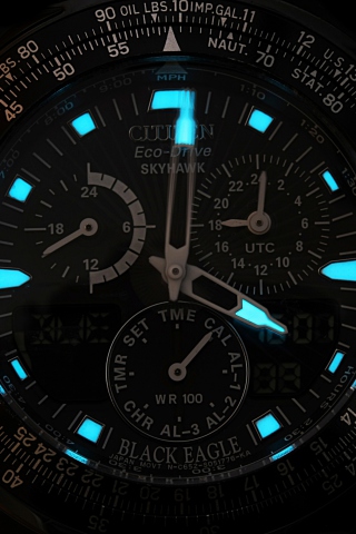 Screenshot №1 pro téma Citizen Watch 320x480