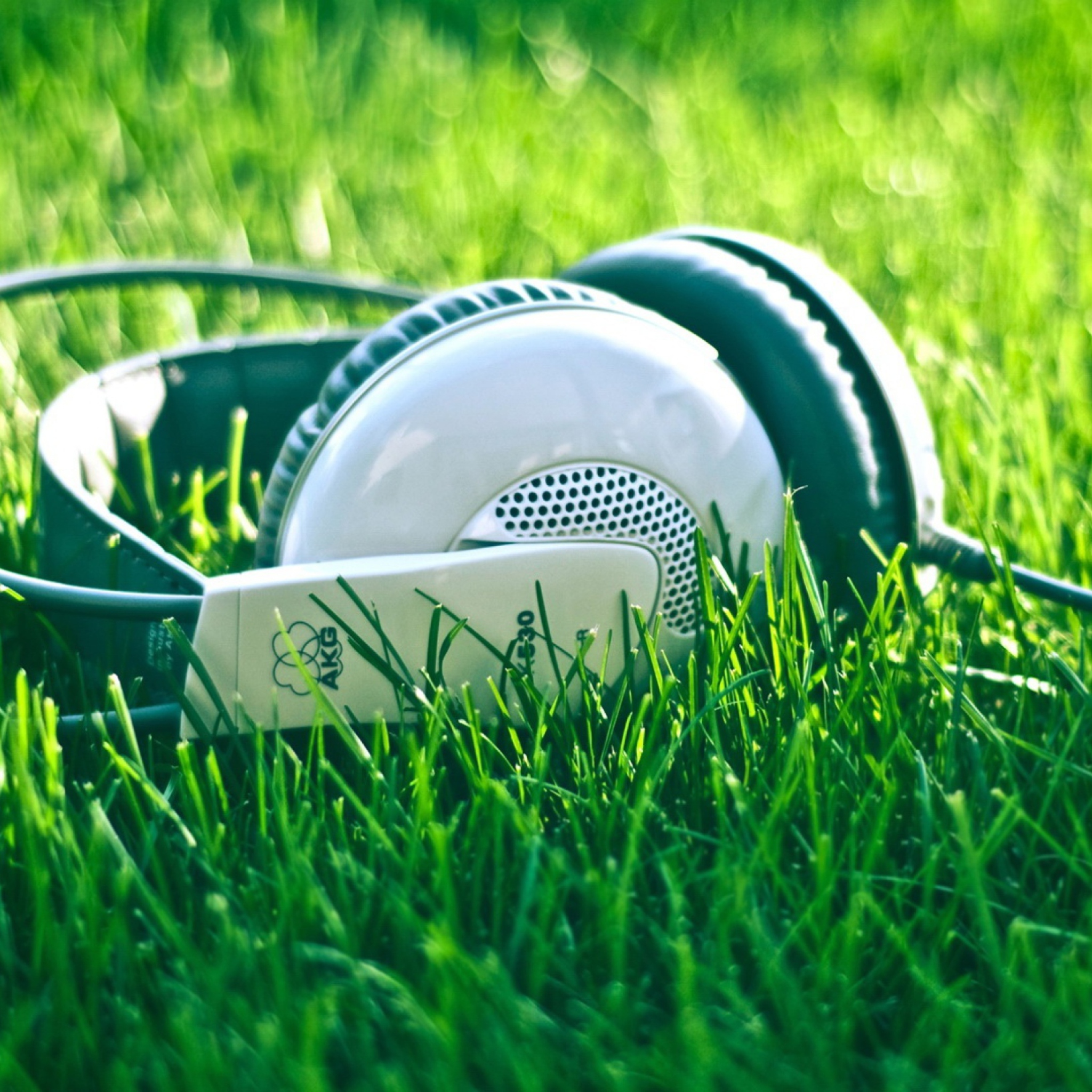 Обои Headphones In Grass 2048x2048