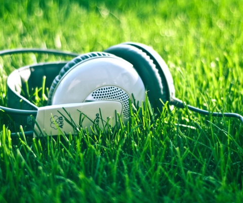 Fondo de pantalla Headphones In Grass 480x400