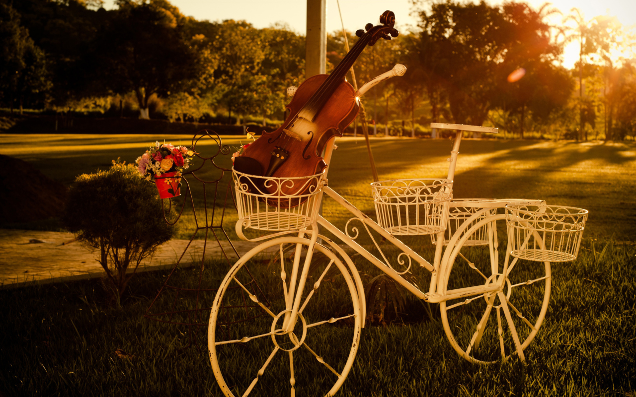 Violin screenshot #1 1280x800