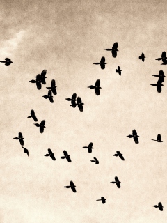 Das Birds In Sky Wallpaper 240x320