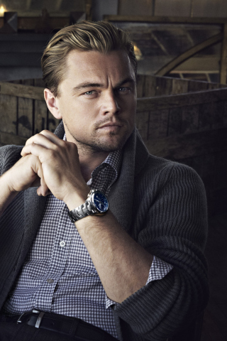 Leonardo DiCaprio screenshot #1 320x480