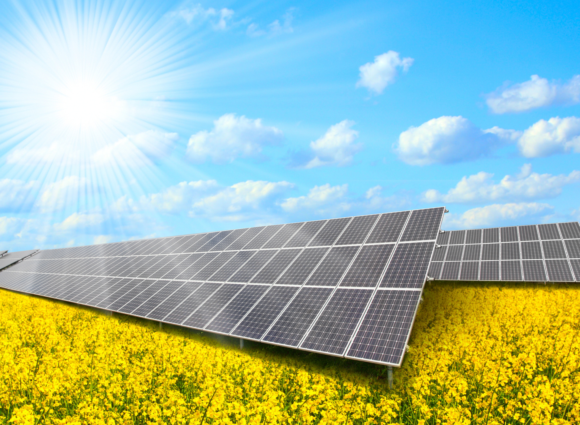 Обои Solar panels on Field 1920x1408