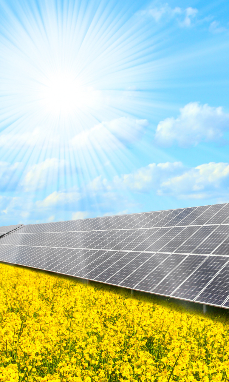 Das Solar panels on Field Wallpaper 768x1280