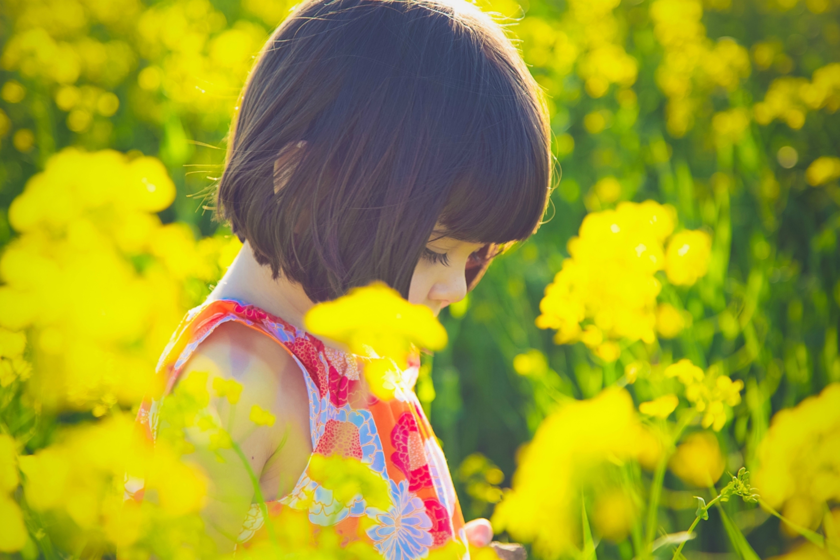 Обои Cute Little Girl At Summer Meadow 2880x1920