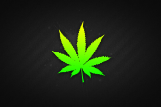 Weed Leaf Background for Android, iPhone and iPad