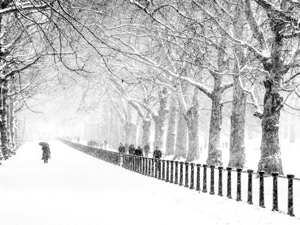Winter Walk screenshot #1 1024x768