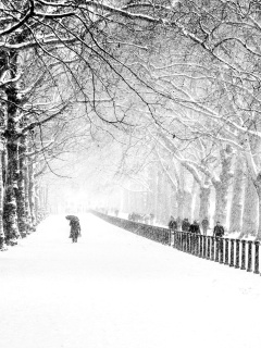 Fondo de pantalla Winter Walk 240x320