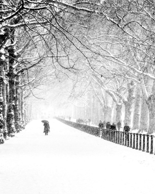 Winter Walk - Obrázkek zdarma pro Nokia X3-02