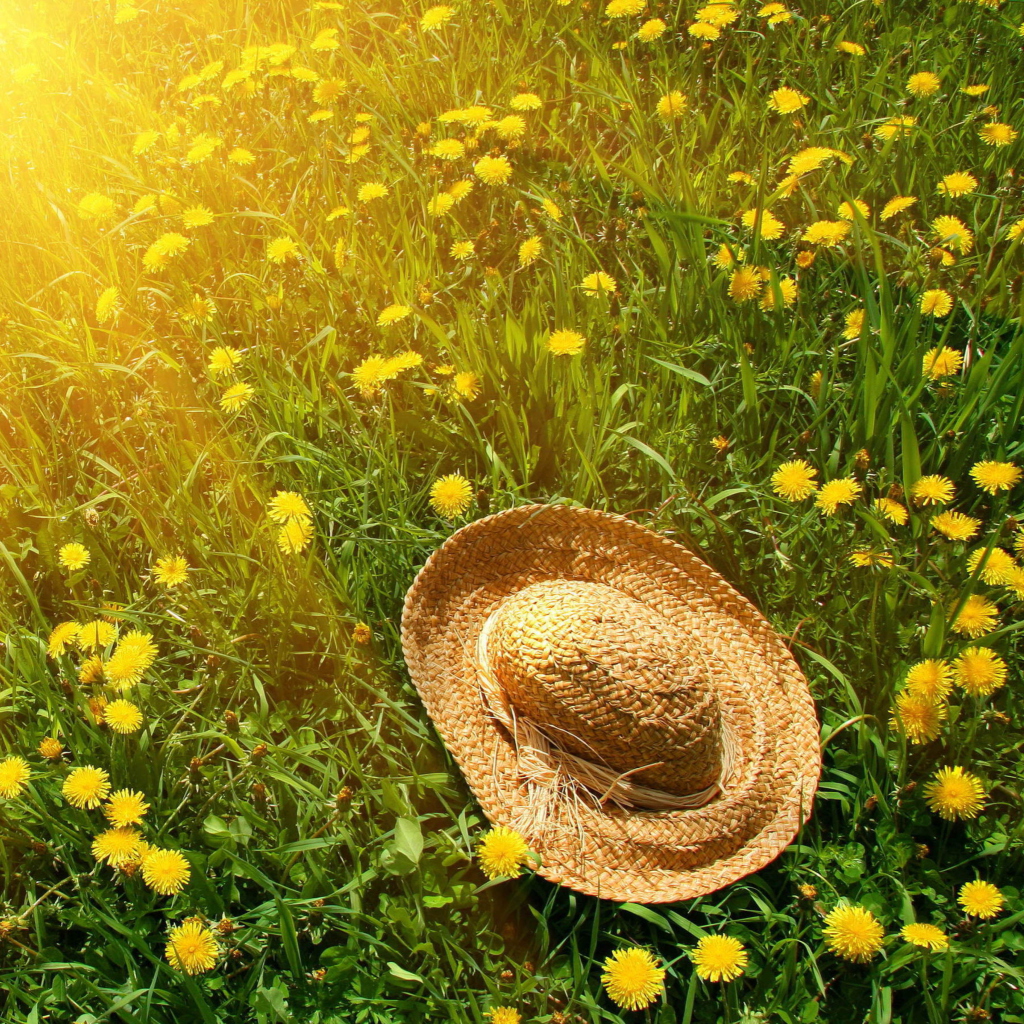 Hat On Green Grass And Yellow Dandelions screenshot #1 1024x1024