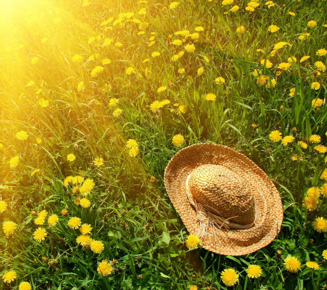Screenshot №1 pro téma Hat On Green Grass And Yellow Dandelions 1080x960