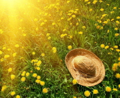 Screenshot №1 pro téma Hat On Green Grass And Yellow Dandelions 176x144