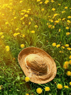 Das Hat On Green Grass And Yellow Dandelions Wallpaper 240x320