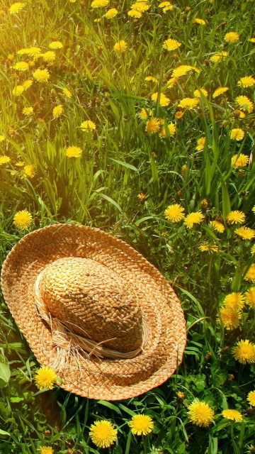Обои Hat On Green Grass And Yellow Dandelions 360x640
