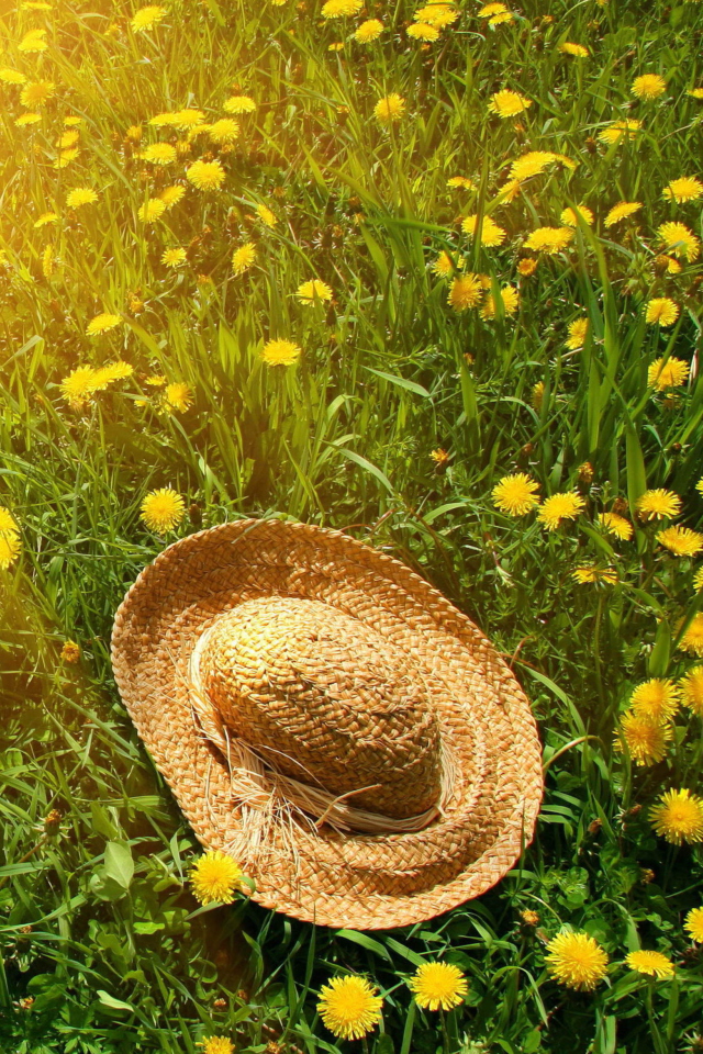 Sfondi Hat On Green Grass And Yellow Dandelions 640x960