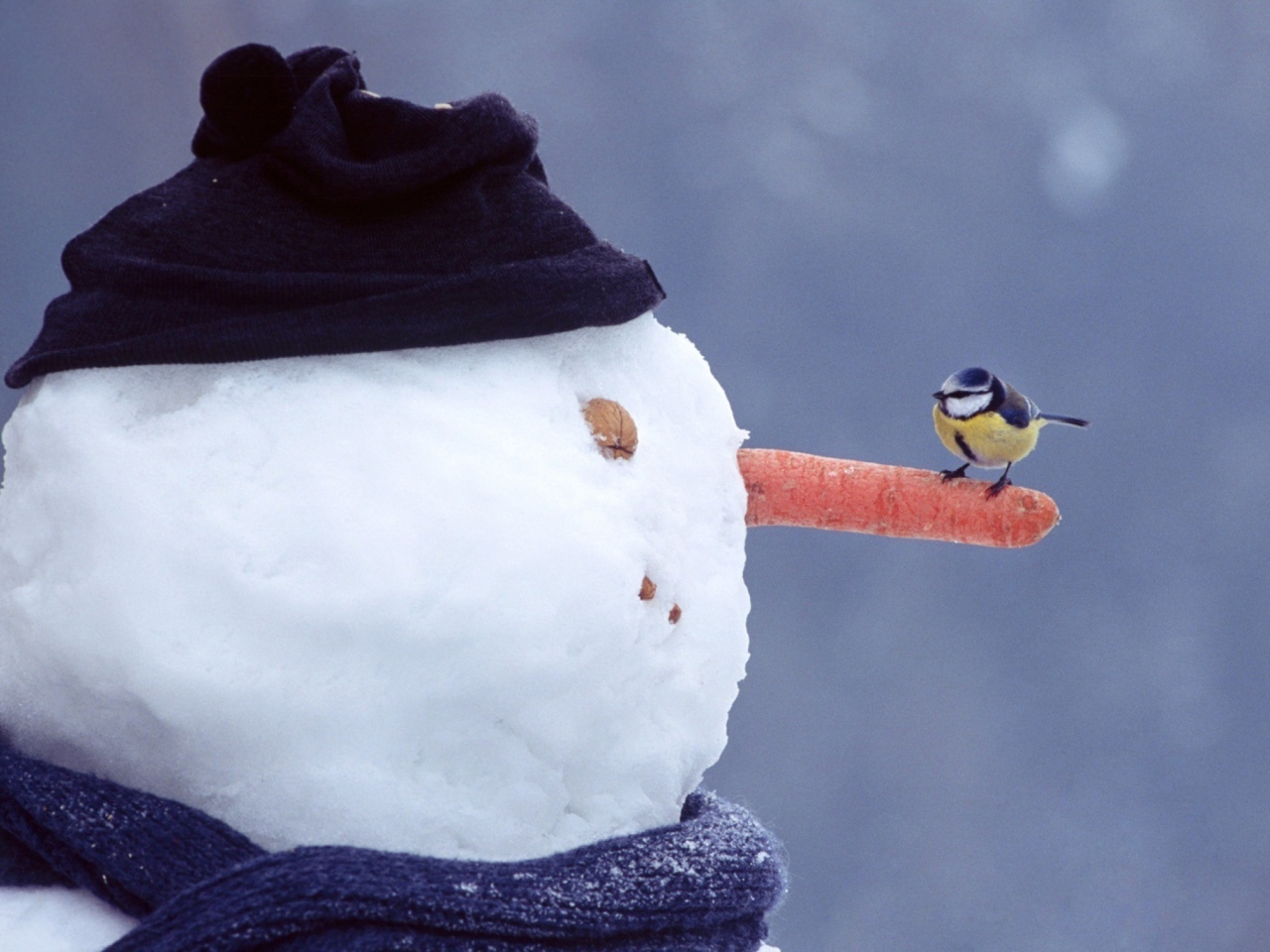 Fondo de pantalla Snowman And Sparrow 1280x960