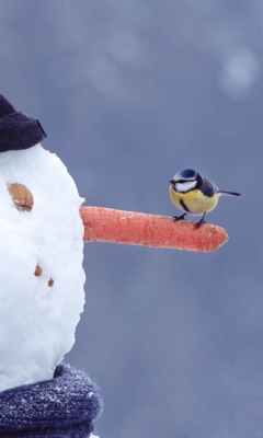 Snowman And Sparrow wallpaper 240x400