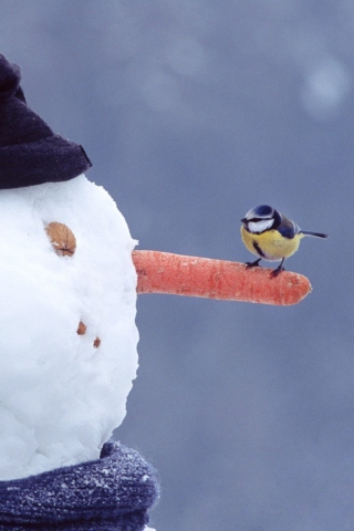 Snowman And Sparrow wallpaper 320x480