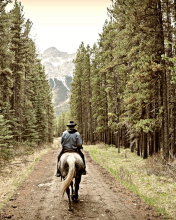 Fondo de pantalla Horse Rider 176x220