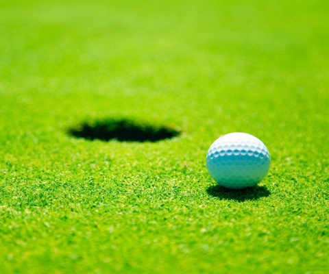 Golf Ball screenshot #1 480x400