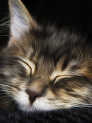 Das Sleepy Cat Art Wallpaper 132x176