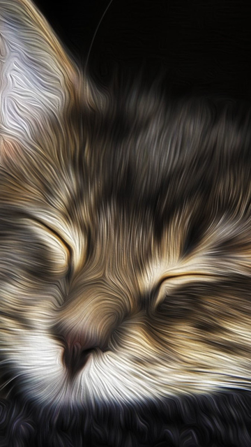 Обои Sleepy Cat Art 360x640