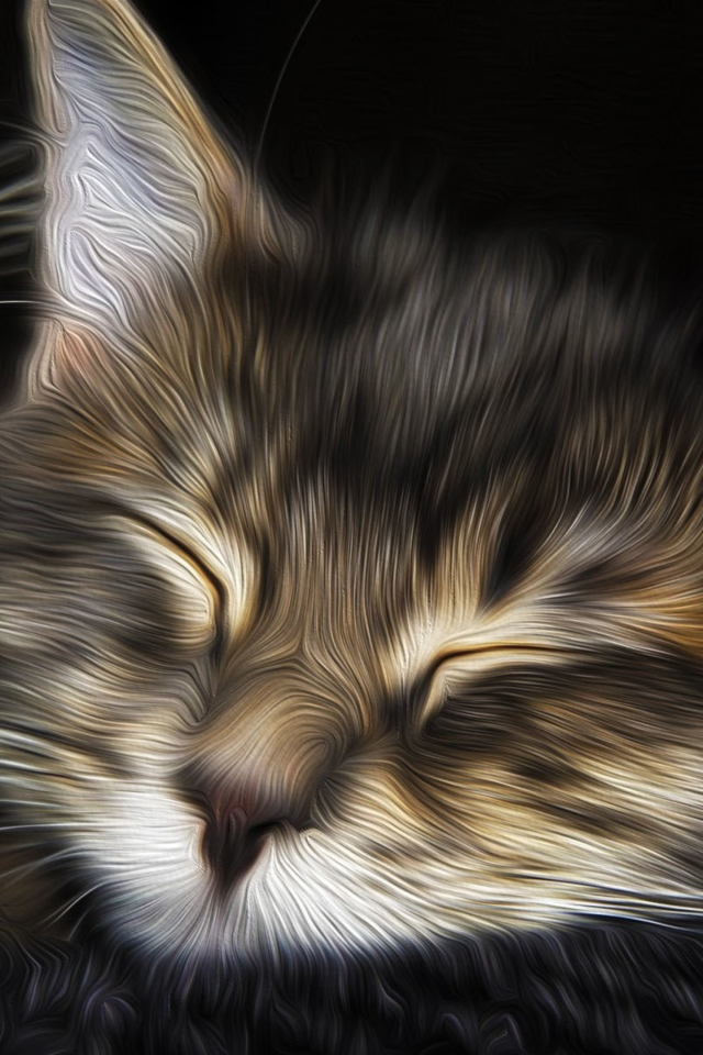 Das Sleepy Cat Art Wallpaper 640x960