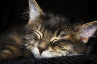 Sleepy Cat Art Wallpaper for Android, iPhone and iPad