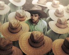 Mexican Hats wallpaper 220x176