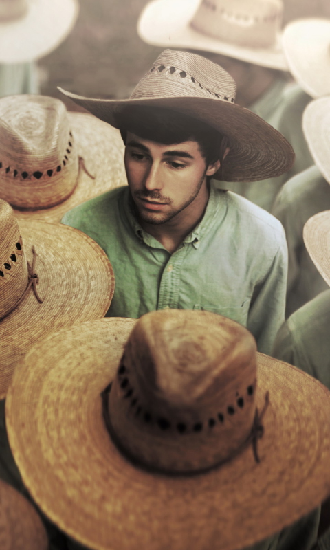 Mexican Hats wallpaper 480x800