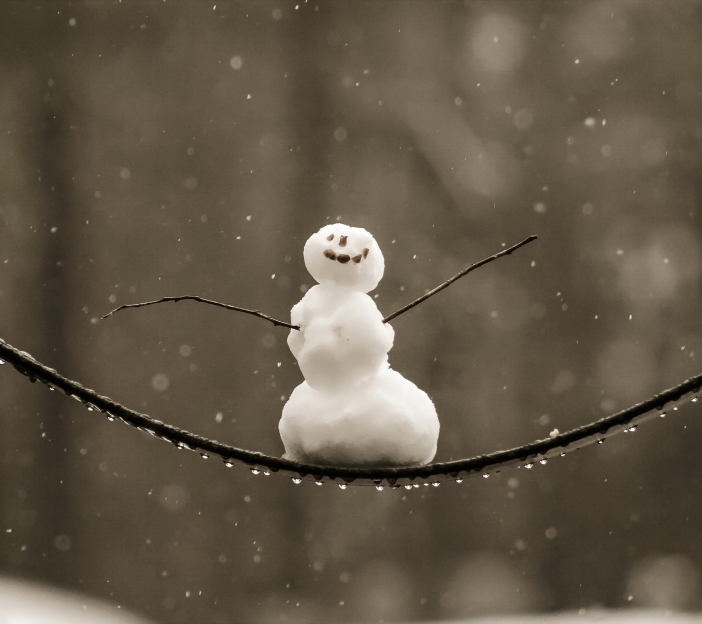 Обои Happy Snowman 1440x1280