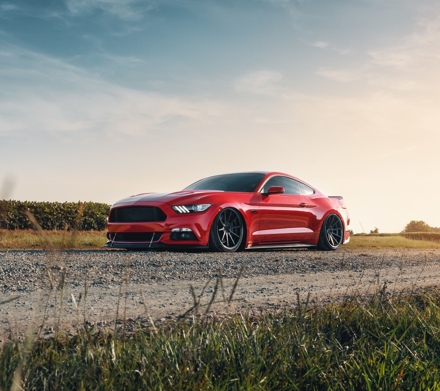 Обои Ford Mustang GT Red 1440x1280