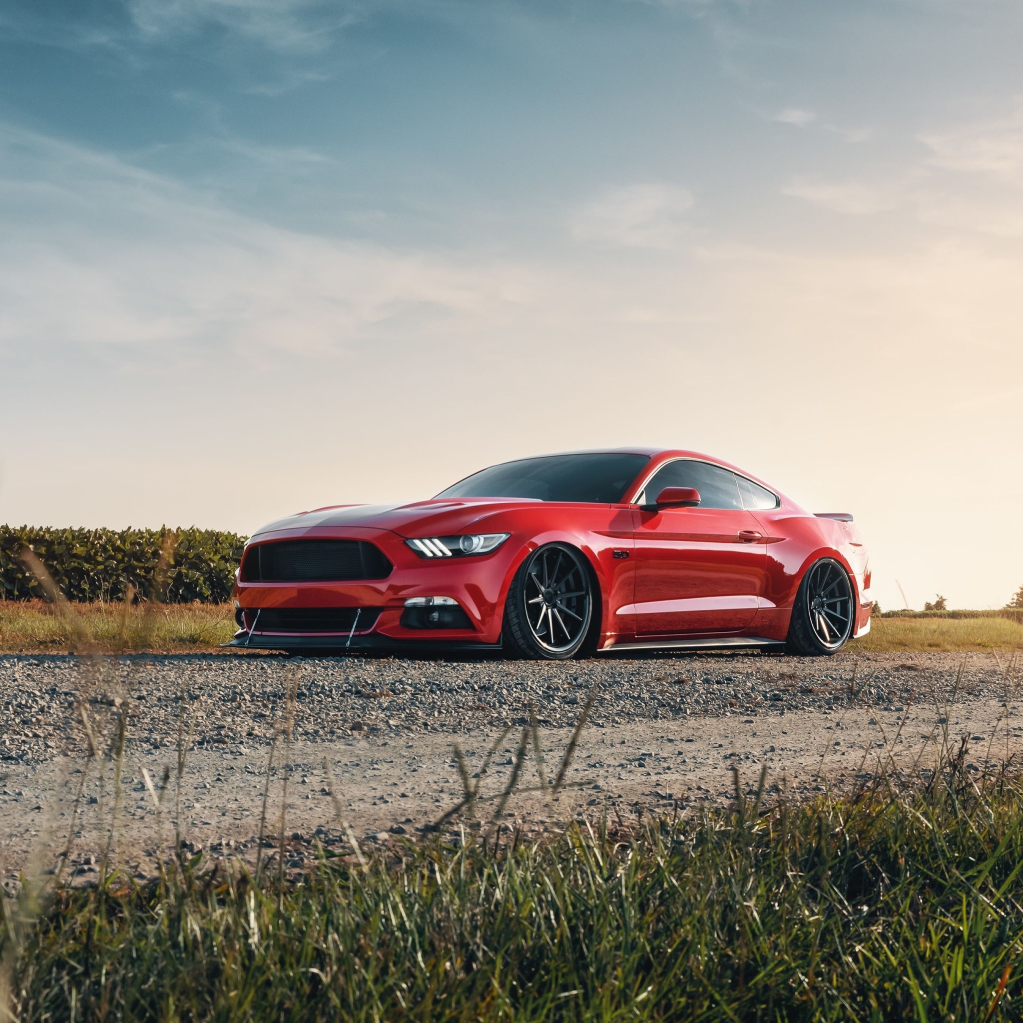 Fondo de pantalla Ford Mustang GT Red 2048x2048