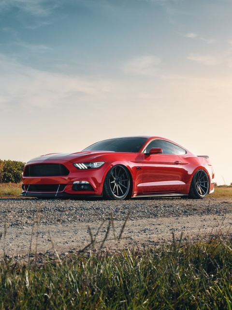 Ford Mustang GT Red wallpaper 480x640