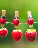 Sfondi Ladybugs And Strawberries 128x160