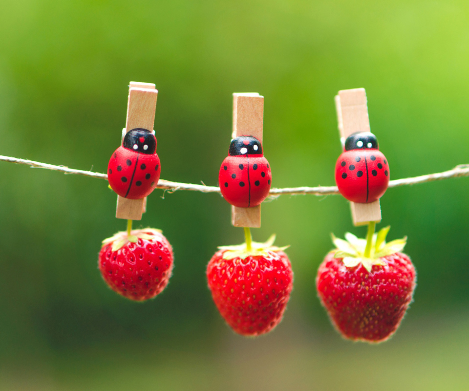 Sfondi Ladybugs And Strawberries 960x800