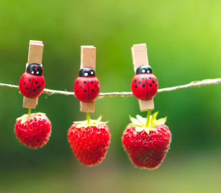 Kostenloses Ladybugs And Strawberries Wallpaper für iPad Air