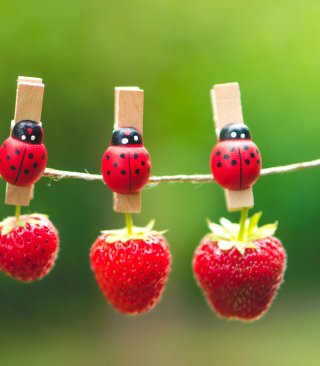 Ladybugs And Strawberries papel de parede para celular para iPhone 5