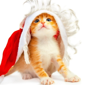 Kostenloses Christmas Kitten Wallpaper für iPad 2