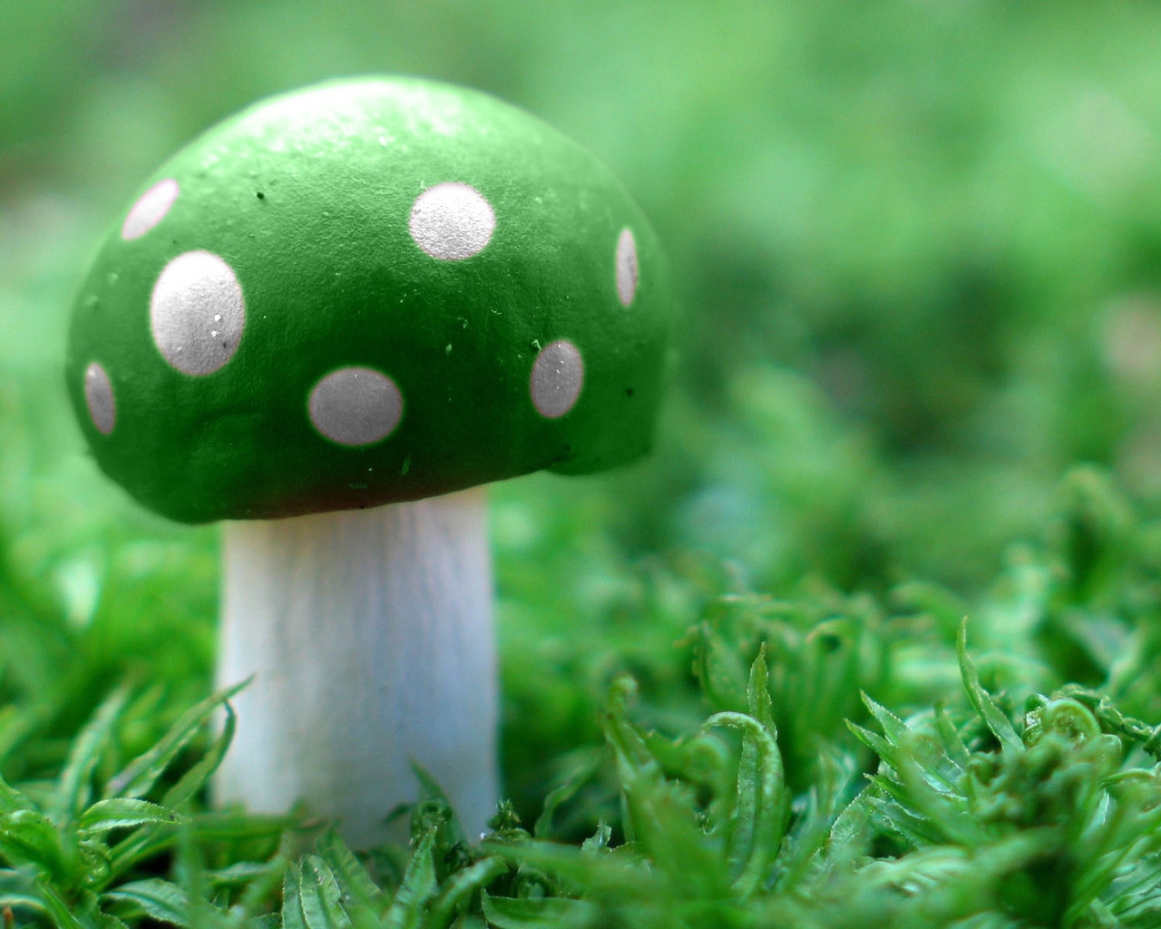 Screenshot №1 pro téma Green Mushroom 1280x1024