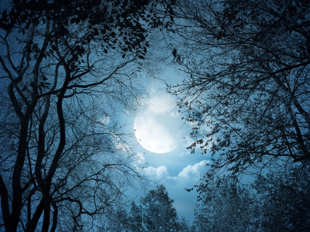 Das Full Moon Time Wallpaper 640x480